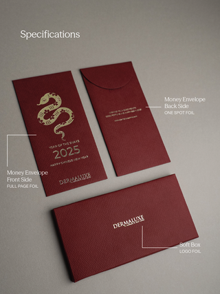 Money Envelope Corporate Lunar Edition